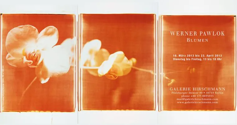 Werner Pawlok BLUMEN in der Galerie Hirschmann Bild: Werner Pawlok BLUMEN in der Galerie Hirschmann