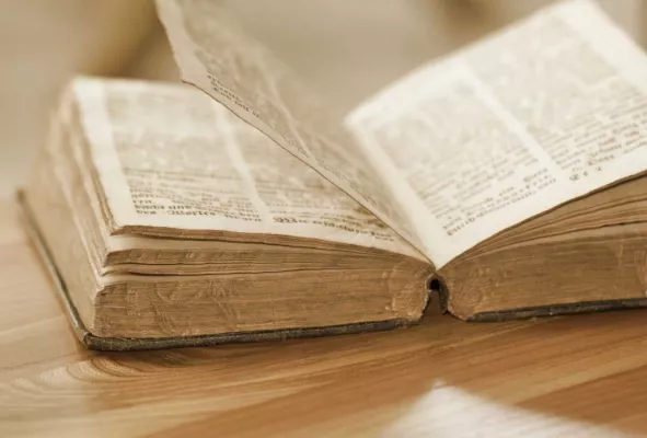 Bild: Media Exklusiv GmbH Gütersloh: Erfahrungen mit dem "Roten Buch von Hergest"