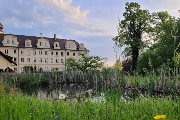 Bild: Qigong- und TCM-Retreat:  Die Kunst der Lebenspflege