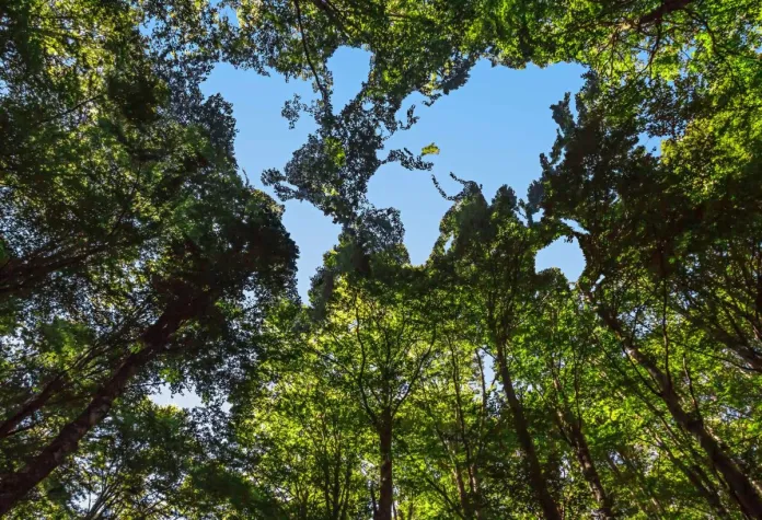 Bild: Reiseblogger Wolfgang Wurzer: Entdecken Sie ein grünes Erding