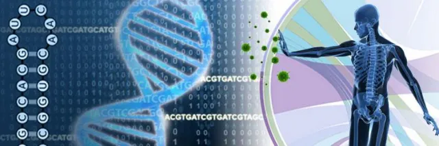 Bild: Aus körpereigenen Zellen den Krebs besiegen!