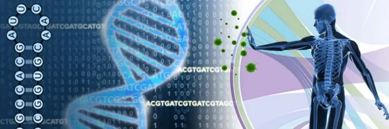 Aus körpereigenen Zellen den Krebs besiegen! Bild: Aus körpereigenen Zellen den Krebs besiegen!