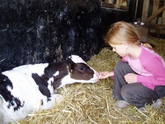 „Mama, wo sind deine Haare hin?“ - BVZ unterstützt Rexrodt von Fircks Stiftung zugunsten krebskranker Mütter Bild: „Mama, wo sind deine Haare hin?“ - BVZ unterstützt Rexrodt von Fircks Stiftung zugunsten krebskranker Mütter