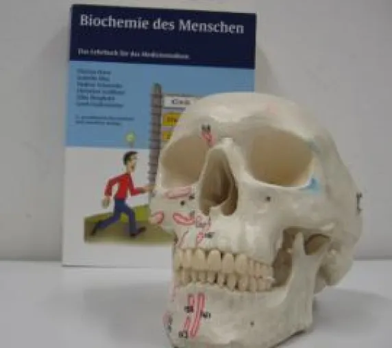 Bild: Erfolgreicher Vorsemester Medizin Kurs am RBZ Köln