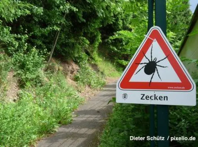 Bild: Was hat ein Waldspaziergang mit Ihrer Unfallversicherung zu tun?