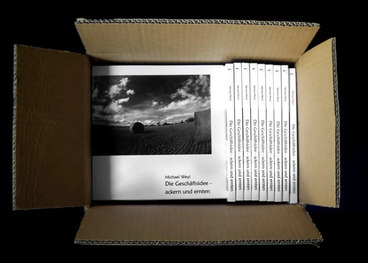 Bücher in der Auslieferung