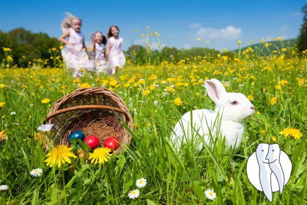 Bild: Fleißiger Osterhase? Fleißiges Zähneputzen!