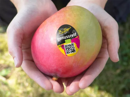Bild: Wie vom Baum gepflückt – Genussreife Bio-Mangos von BioTropic