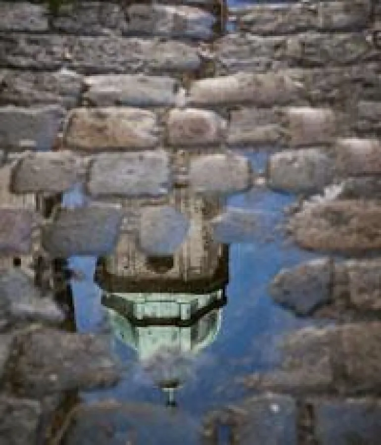 Das Siegerbild aus dem letzten Jahr von Stefanie Beer aus Ebermannsdorf.