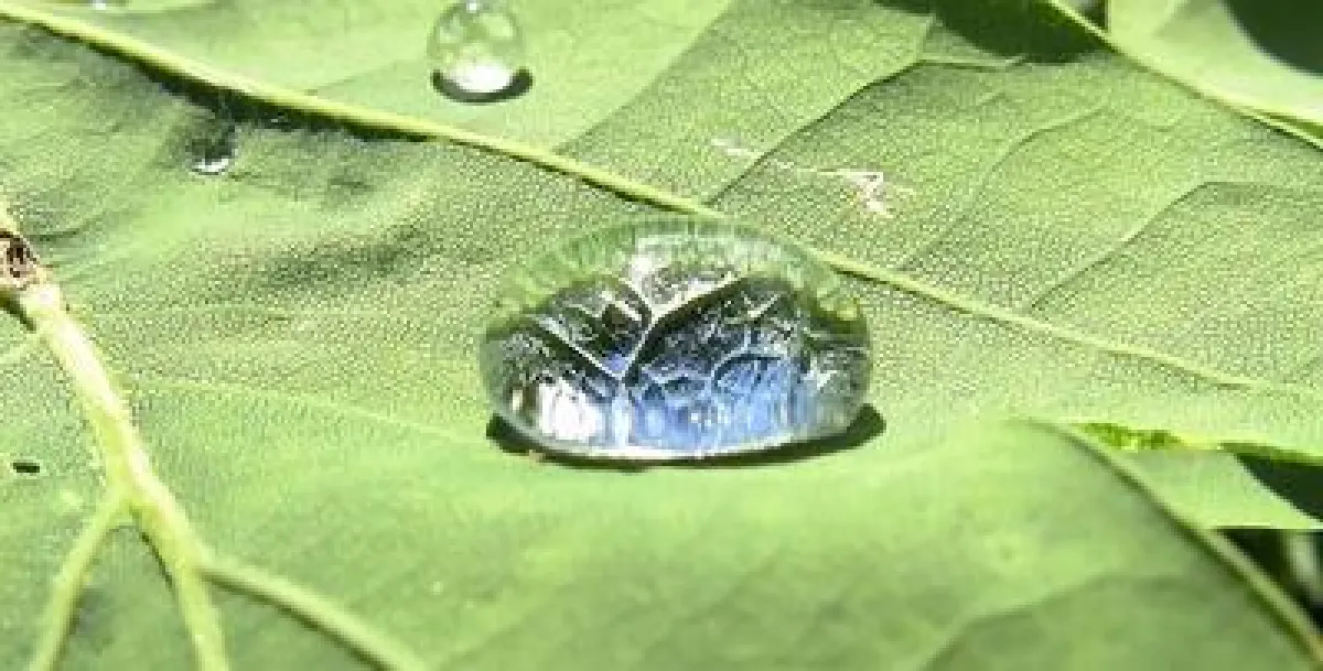 Foto: Paulwip / pixelio.de