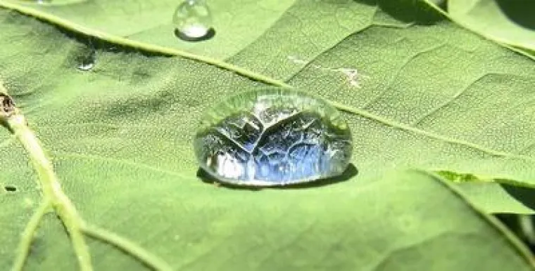 Bild: R.U.N.-Themenabend: "Nanomaterialien - Risiko oder Segen?"