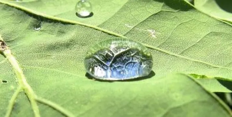R.U.N.-Themenabend: "Nanomaterialien - Risiko oder Segen?" Bild: R.U.N.-Themenabend: "Nanomaterialien - Risiko oder Segen?"