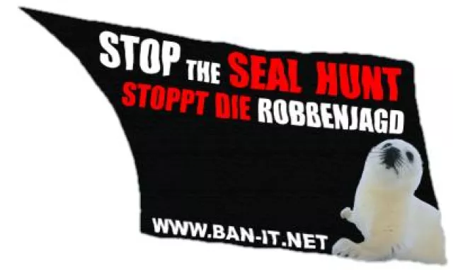 Bild: Europas höchste Petition gegen die Robbenjagd