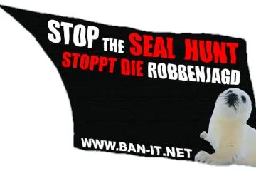 Europas höchste Petition gegen die Robbenjagd Bild: Europas höchste Petition gegen die Robbenjagd