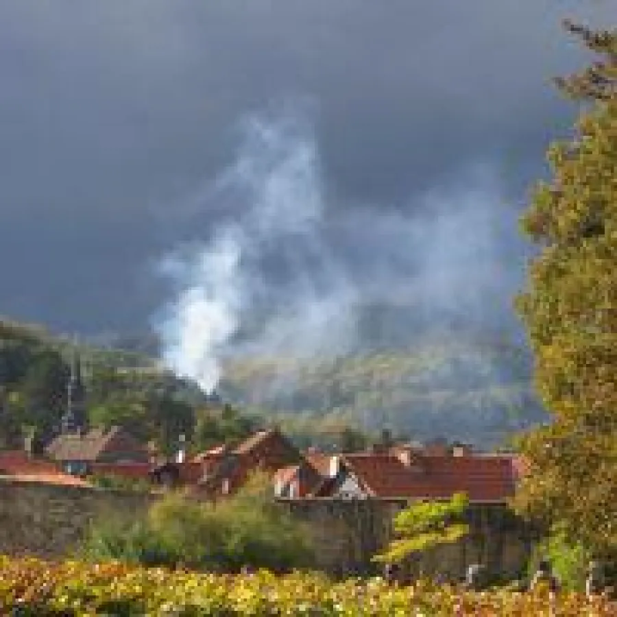 Risiken.Schäden.Werte.