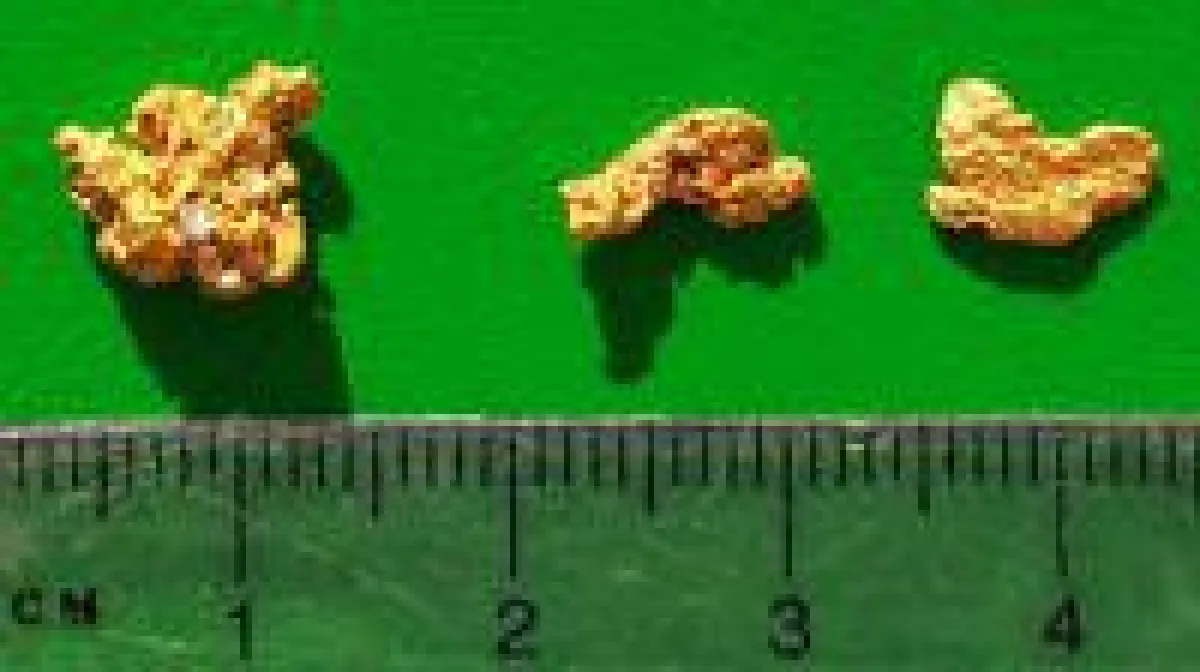 Goldnuggets von der Neuentdeckung Jarret Well; Foto: De Grey Mining
