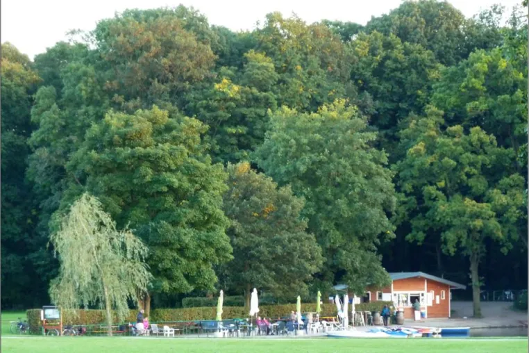 Stadtgespräch Rodenkirchen – ein Fehler beim Beschreiten neuer Wege? Bild: Stadtgespräch Rodenkirchen – ein Fehler beim Beschreiten neuer Wege?