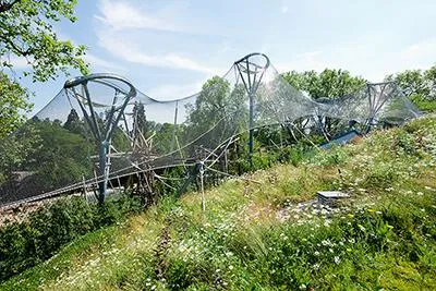 Edelstahlseilnetz überspannt das neue Affengehege der Wilhelma Bild: Edelstahlseilnetz überspannt das neue Affengehege der Wilhelma