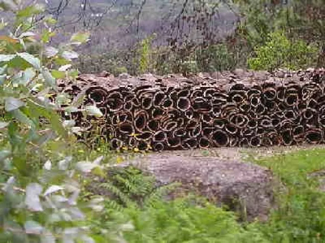 Bild: Algarve / Portugal - Korkproduktion mit Absatzschwierigkeiten