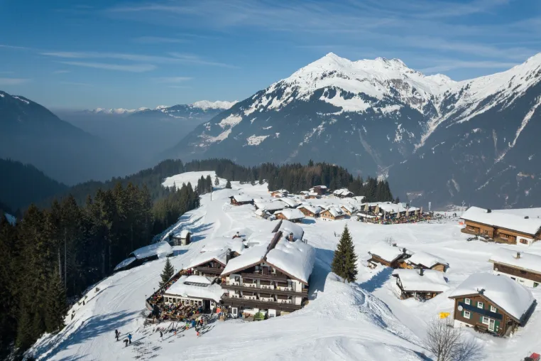 Bild: Tierwohl im Skiurlaub bei team3reisen.de