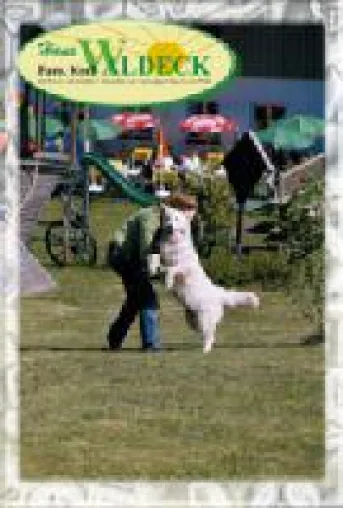 Bayerischer Wald Landhotel in Deutschland für Urlaub mit Hund Bild: Bayerischer Wald Landhotel in Deutschland für Urlaub mit Hund