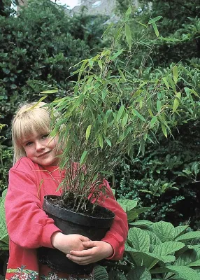 Bild: Garten: Gut geschützt, bevor der erste Frost kommt