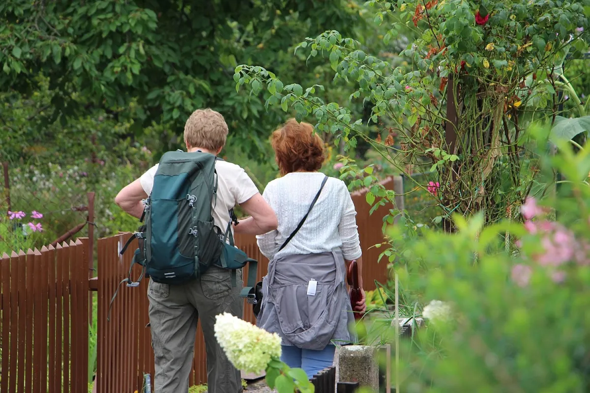 Der 11. Dresdner Kleingartenwandertag führt durch den Dresdner Süden. (© Archiv Stadtverband)