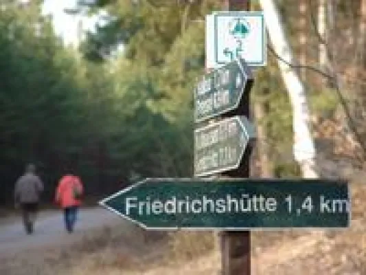 Bild: Sachsen startet im Naturpark Dübener Heide in den Frühling: Auftakt für Frühlingsspaziergänge 2006 im Kreis Delitzsch