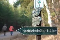 Bild: Sachsen startet im Naturpark Dübener Heide in den Frühling: Auftakt für Frühlingsspaziergänge 2006 im Kreis Delitzsch