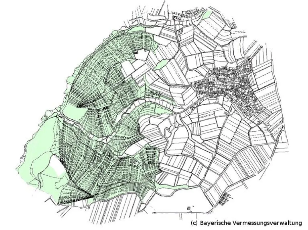 Kleinparzellierter Privatwald: Hier herrscht oft Unsicherheit bei den Grenzverläufen und der Zuwegun