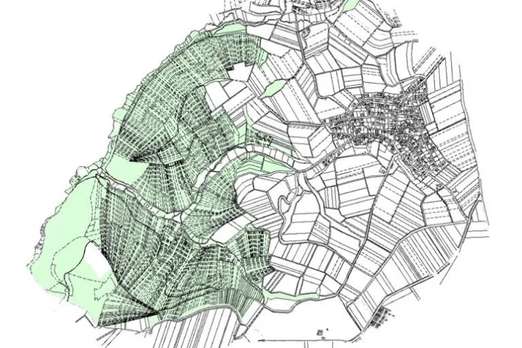 Bild: Wald ohne Grenzen?