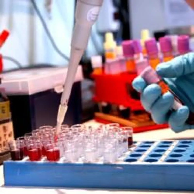 Bei Burn-out kann auch ein Mikronährstoffmangel vorliegen. Bild: Diagnostisches Centrum für Mineralanalytik