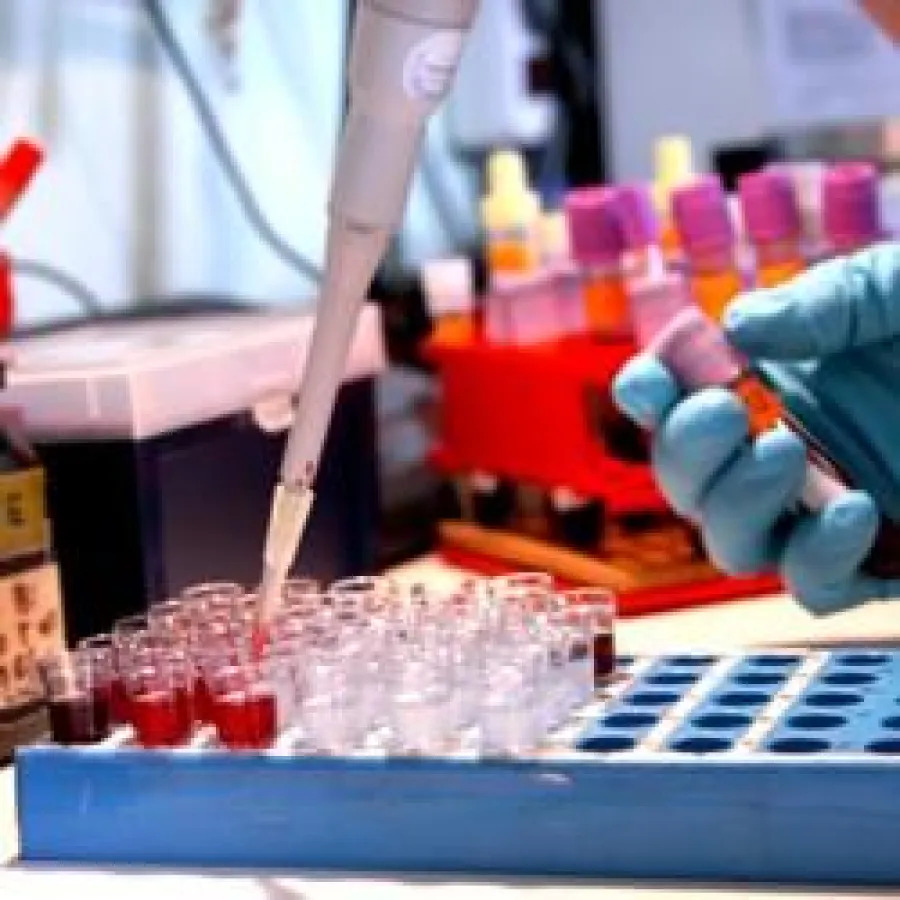 Bei Burn-out kann auch ein Mikronährstoffmangel vorliegen. Bild: Diagnostisches Centrum für Mineralanalytik