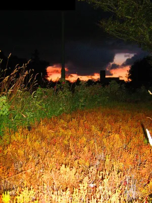 Deutschlands einzige Meeresgärtnerei bietet regionale Produkte auf Keitum Bild: Deutschlands einzige Meeresgärtnerei bietet regionale Produkte auf Keitum