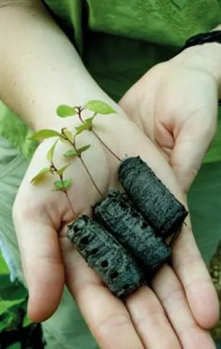 Klimaneutral reisen - CO2OL und travel-to-nature starten gemeinsames Aufforstungs-Projekt Bild: Klimaneutral reisen - CO2OL und travel-to-nature starten gemeinsames Aufforstungs-Projekt