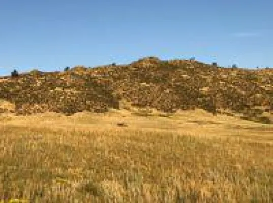 Bild: U.S. Gold Corp. Geologe erhält Master in Naturwissenschaft