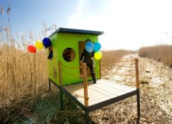 Bild: Ich sehe was, was Du nicht siehst ... und das ist grün