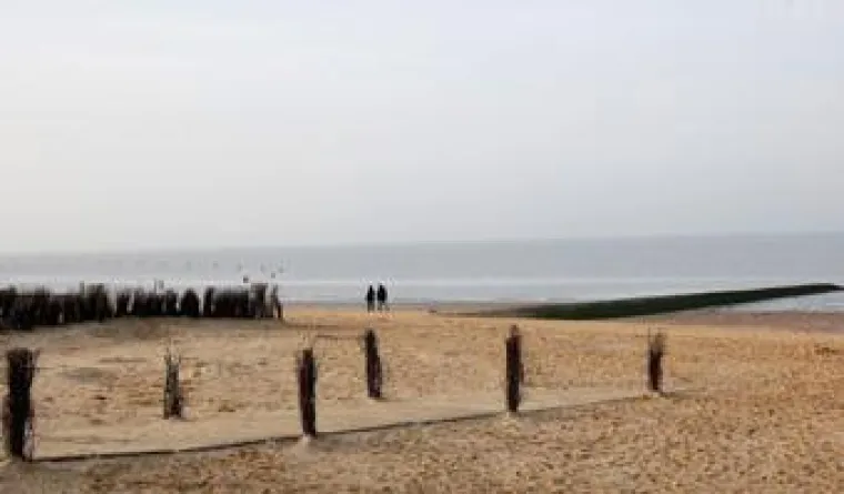 Bild: Winterwandern im Watt