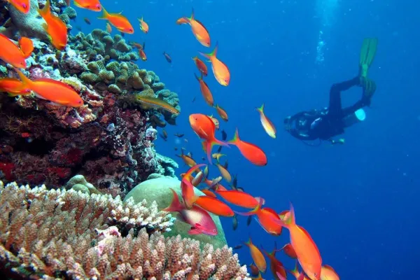 Bild: Mehr Sicherheit für Taucher im Kandima Maldives dank eigener Dekompressionskammer