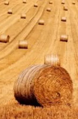 Bild: Strom aus Bioabfall im Benin