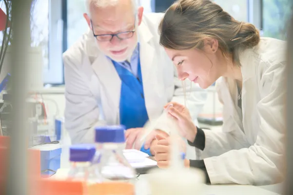 Ein synthetischer Lichtschalter für die Photosynthese Bild: Ein synthetischer Lichtschalter für die Photosynthese