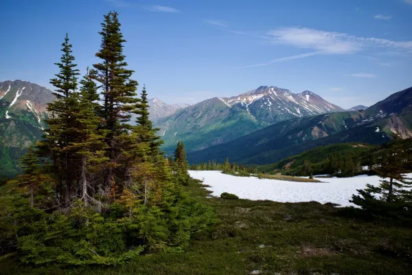 Bild: Brixton Metals: Durchgängige Goldvererzung über 262 Meter Länge erbohrt!
