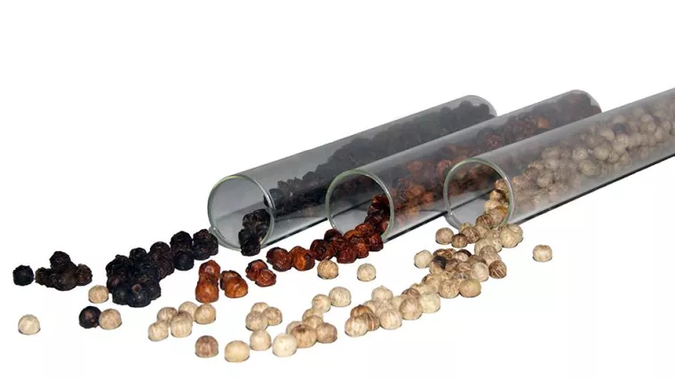 Bild: Das beste Pfefferkorn der Welt