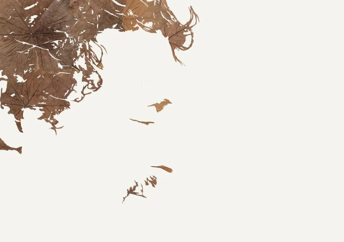 Michael Schuster, Lichtbild I, 2015 Laub auf Papier, 86 x 122 cm, Foto: Michael Schuster