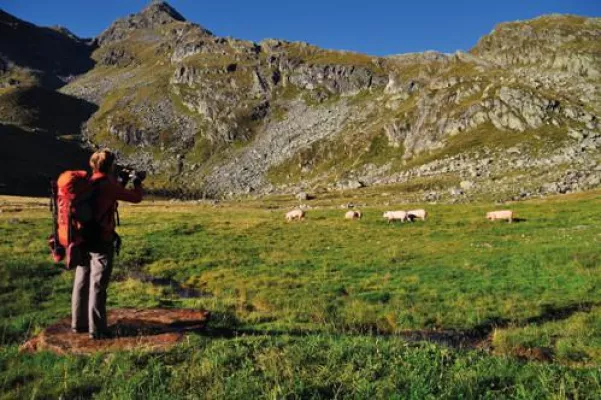 Über den Bärentrek und auf Geierwallys Spuren – Alpine Höhenwege auf eigene Faust erkunden Bild: Über den Bärentrek und auf Geierwallys Spuren – Alpine Höhenwege auf eigene Faust erkunden