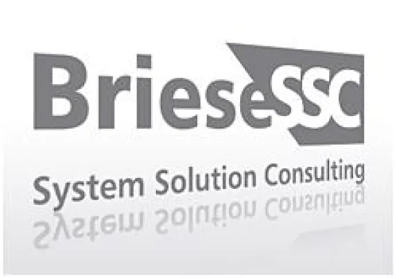 Bild: mediatwister aus Siegen entwickelte Logo, Visitenkarten und Screendesign für Briese System Solution Consulting