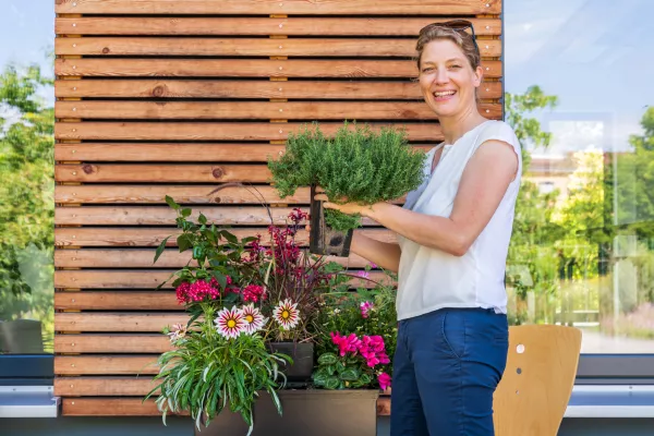 Bild: Ein farbenprächtiges Pflanzen-Feuerwerk für den eigenen Balkon
