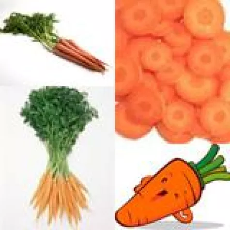 Bild: Rohkost ist abwechslungsreich und genussvoll