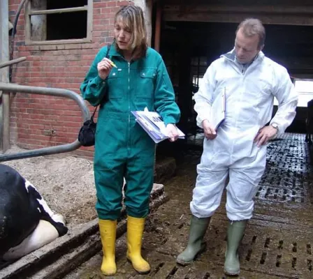 Bestandsbetreuung Milchviehherden: Fütterungsstrategien der Hochleistungskuh vor und nach der Kalbung Bild: Bestandsbetreuung Milchviehherden: Fütterungsstrategien der Hochleistungskuh vor und nach der Kalbung