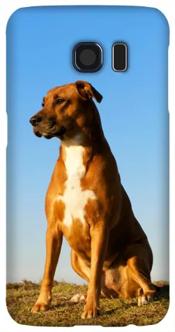 Bild: Samsung Galaxy S6 Hülle selbst gestalten mit eigenem Foto